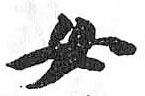 HDIC-TSJ-416-0503
